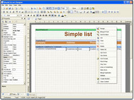 StimulReport.Net screenshot